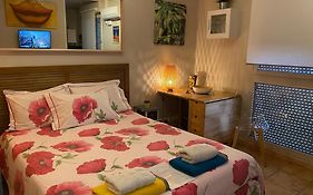 Meuble Tourisme Carmes 2 Etoiles, Entree Autonome,Wifi, Climatise, Petit Parking Prive